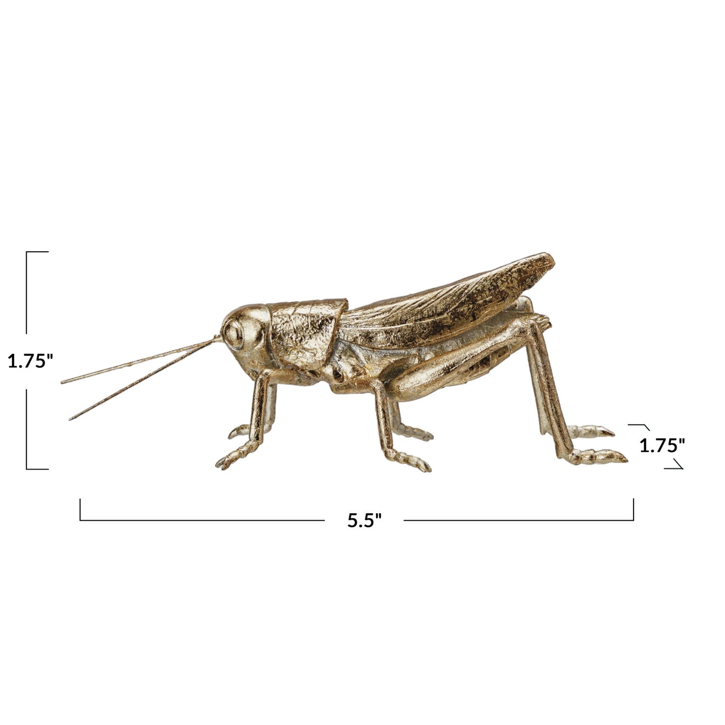 Resin & Metal Grasshopper, Gold Finish