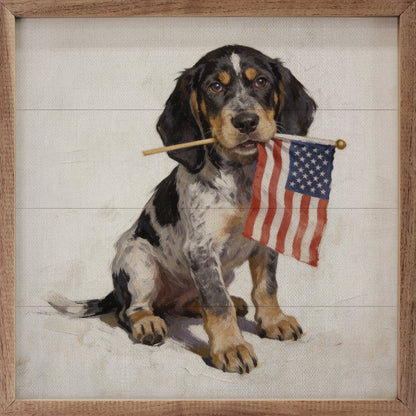 Patriotic Pets Bluetick Coonhound