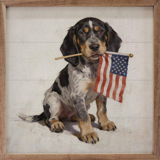 Patriotic Pets Bluetick Coonhound