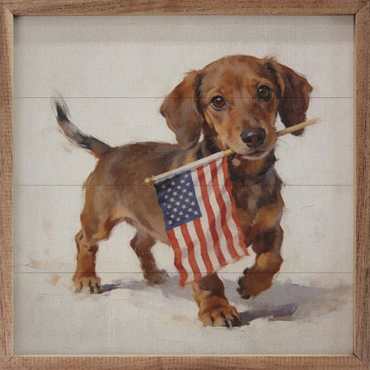 Patriotic Pets Dachshund