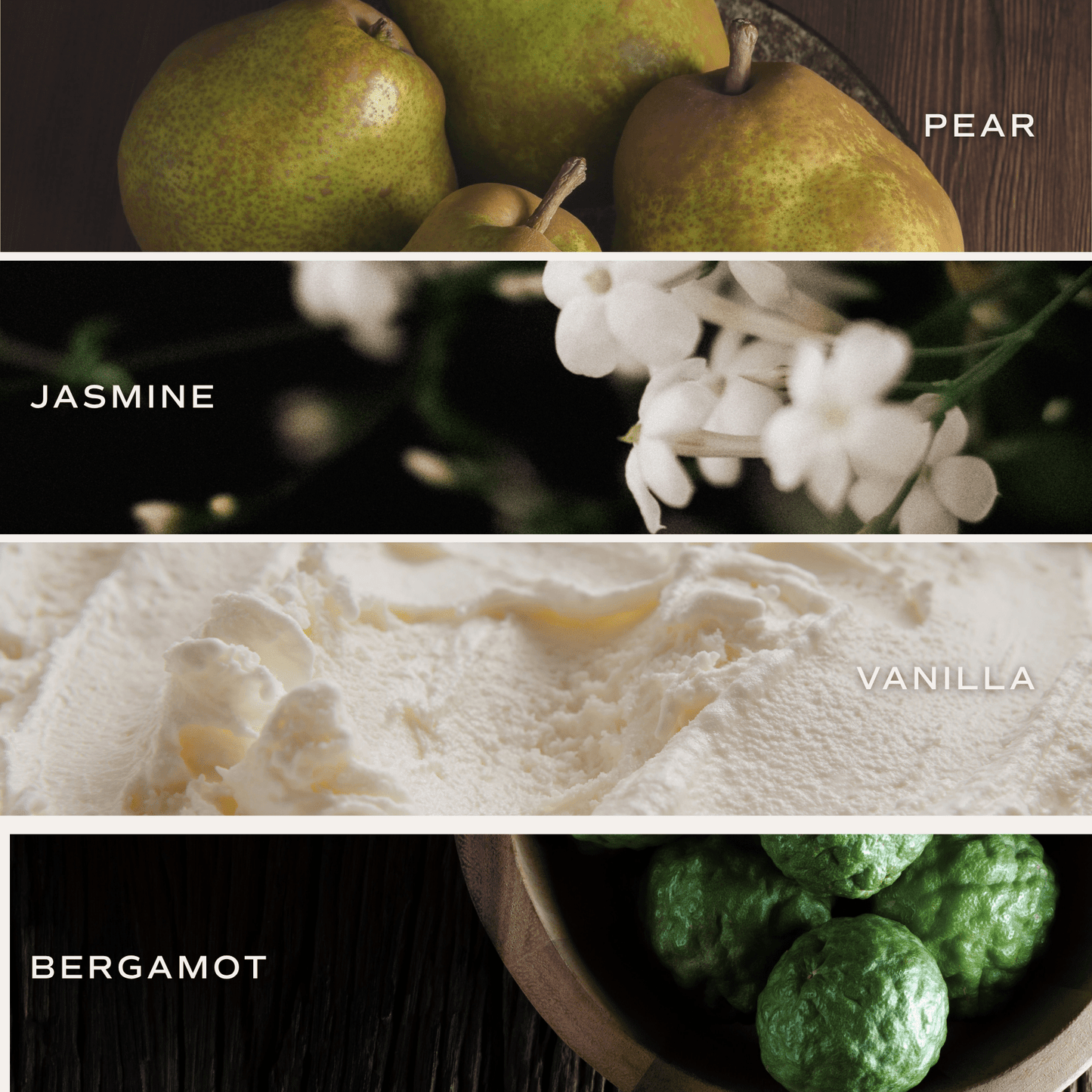 Cashmere and Vanilla Amber Reed Diffuser