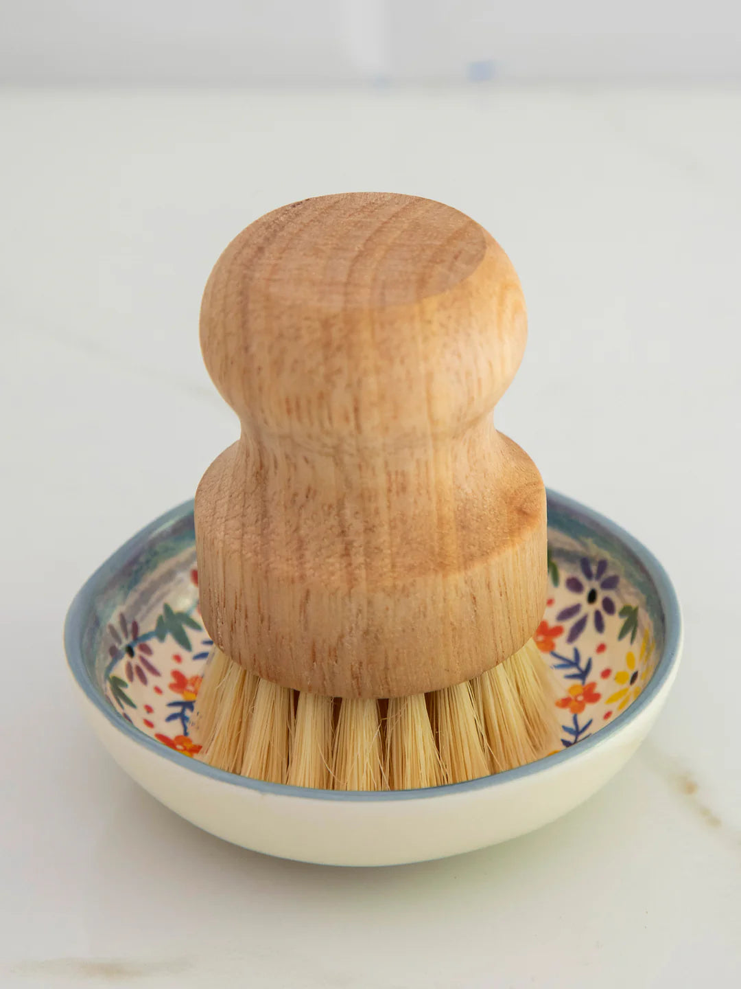 Scrub Brush & Dish