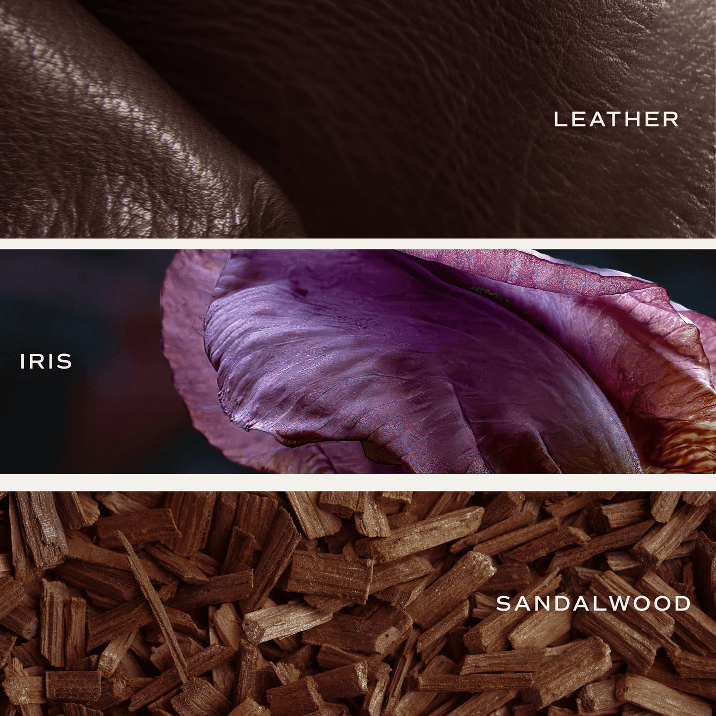 Luxury Getaway Clear Reed Diffuser