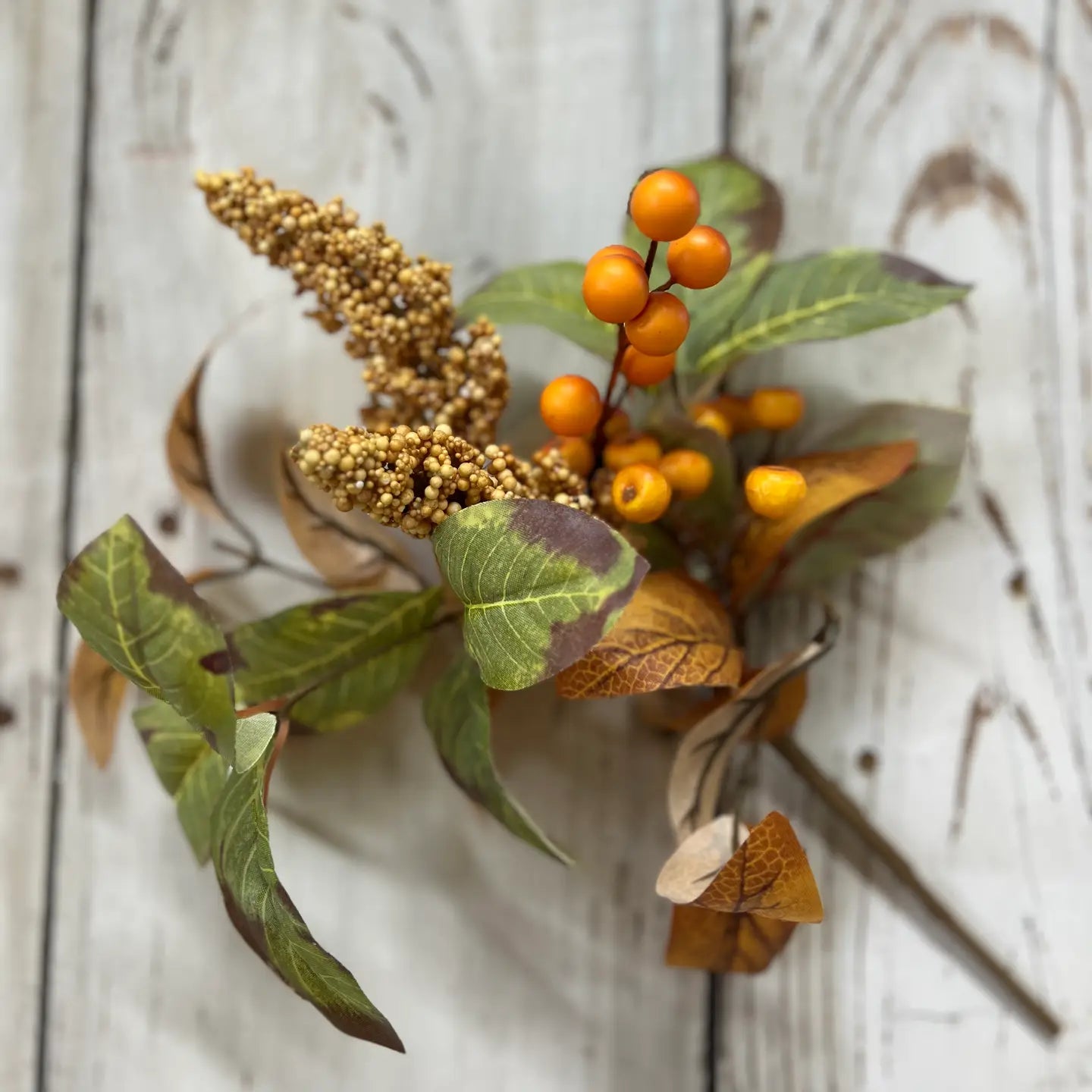 Fall Berries Pick