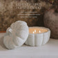 Cashmere and Vanilla Soy Candle - Cement Pumpkin Jar - 13.5 oz