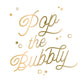 Funny Cocktail Napkins | Pop the Bubbly - Foil - 20ct